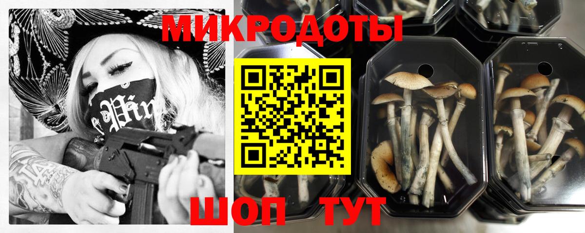Сафоново  Псилоцибиновые грибы прущие грибы  Псилоцибиновые грибы Psilocybe  Вход с VPN 